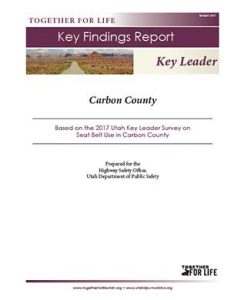 Carbon Key Leader Key Findings Report