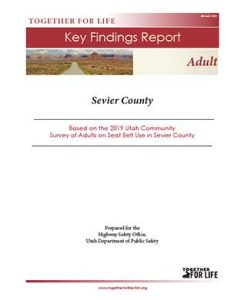 Adult Survey Key Findings Report